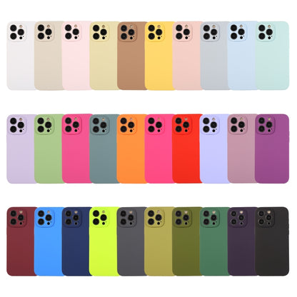 For iPhone 15 Pro Pure Color Liquid Silicone Fine Pore Phone Case(Black Currant) - iPhone 15 Pro Cases by buy2fix | Online Shopping UK | buy2fix