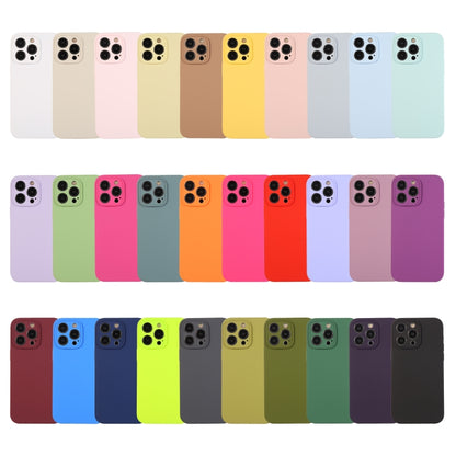 For iPhone 16 Plus Pure Color Liquid Silicone Fine Pore Phone Case(Plum) - iPhone 16 Plus Cases by buy2fix | Online Shopping UK | buy2fix