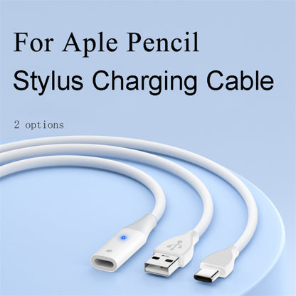 For Apple Pencil 1 USB to 8 Pin Stylus Charging Cable with Indicator Light, Length:0.5m(White) - Pencil Accessories by buy2fix | Online Shopping UK | buy2fix