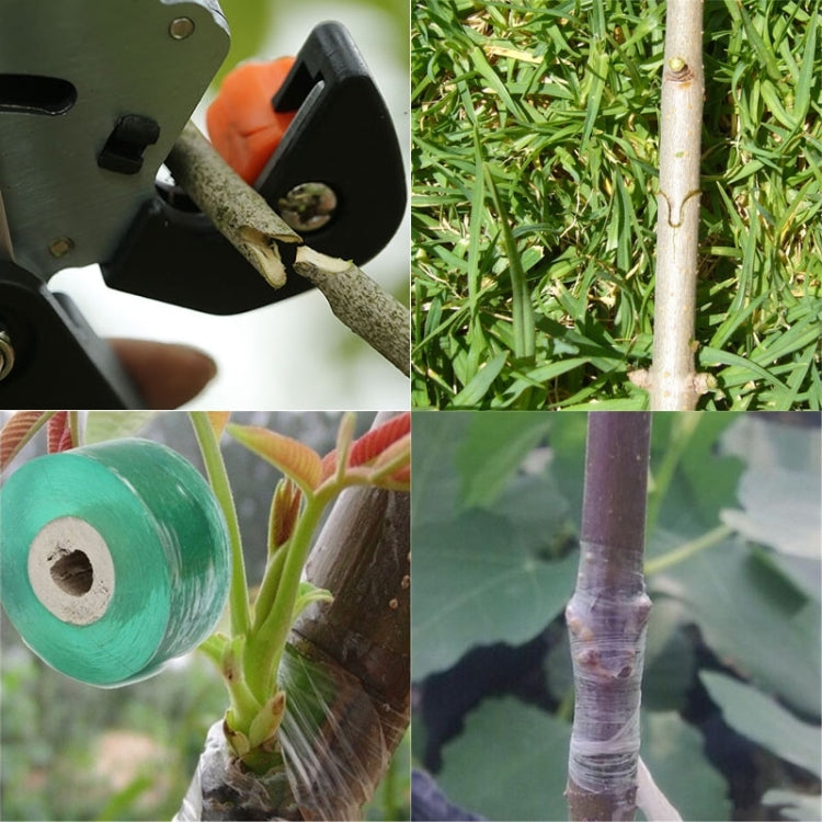 Garden Professional Grafting Cutting Tool / Graft Pruner / Grafting Scissors for Vegetable Fruit Tree(Black) - Garden Hand Tools by buy2fix | Online Shopping UK | buy2fix
