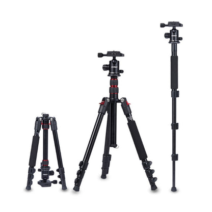 TRIOPO Oubao A-208S Adjustable Portable  Aluminum Alloy Tripod with Ball Head for SLR Camera - Tripods by TRIOPO | Online Shopping UK | buy2fix