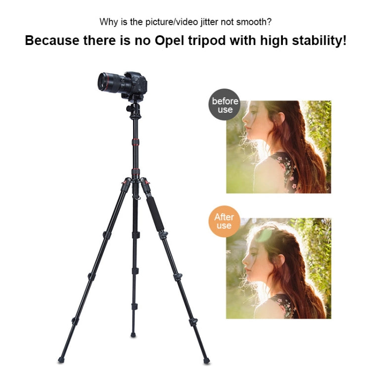 TRIOPO Oubao A-208S Adjustable Portable  Aluminum Alloy Tripod with Ball Head for SLR Camera - Tripods by TRIOPO | Online Shopping UK | buy2fix