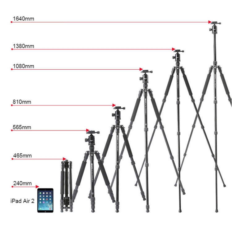 TRIOPO M2508 Multifunction Adjustable 4-Section Portable Aluminum Alloy Tripod Monopod with D-2A Ball Head for SLR Camera - Camera Accessories by TRIOPO | Online Shopping UK | buy2fix