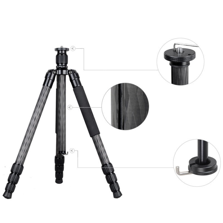 BEXIN W284C H36 Carbon Fiber Professional Photo Tripod for DSLR Camera - Camera Accessories by BEXIN | Online Shopping UK | buy2fix