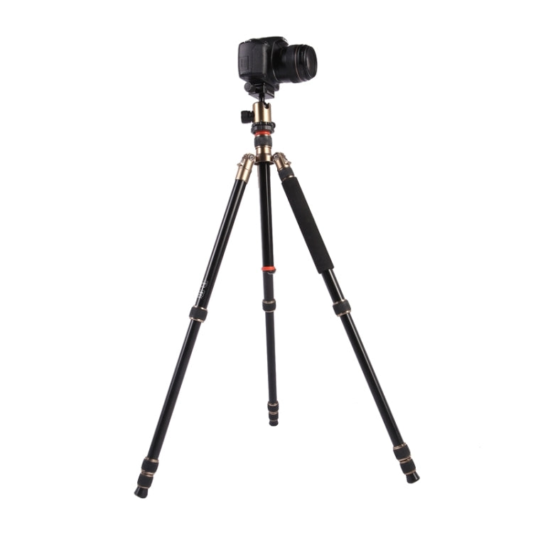 Triopo MT-2504C Adjustable Portable Aluminum Tripod (Gold) with NB-1S Ball Head (Black) for Canon Nikon Sony DSLR Camera - Tripods by TRIOPO | Online Shopping UK | buy2fix