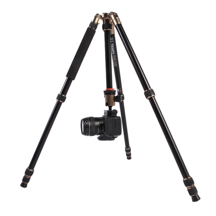 Triopo MT-2504C Adjustable Portable Aluminum Tripod (Gold) with NB-1S Ball Head (Black) for Canon Nikon Sony DSLR Camera - Tripods by TRIOPO | Online Shopping UK | buy2fix