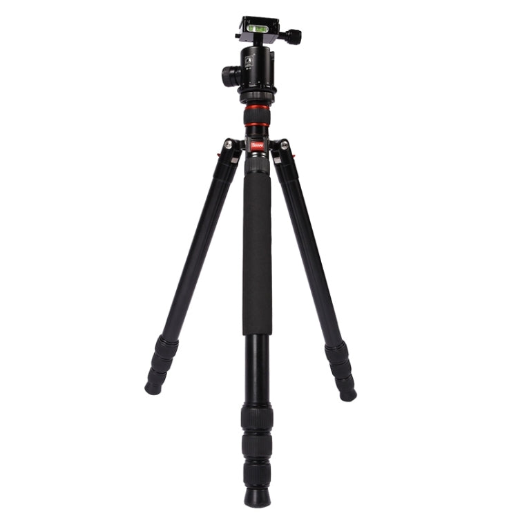 Triopo MT-2804C Adjustable Portable Aluminum Tripod with NB-2S Ball Head for Canon Nikon Sony DSLR Camera(Black) - Tripods by TRIOPO | Online Shopping UK | buy2fix