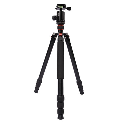 Triopo MT-2804C Adjustable Portable Aluminum Tripod with NB-2S Ball Head for Canon Nikon Sony DSLR Camera(Black) - Tripods by TRIOPO | Online Shopping UK | buy2fix