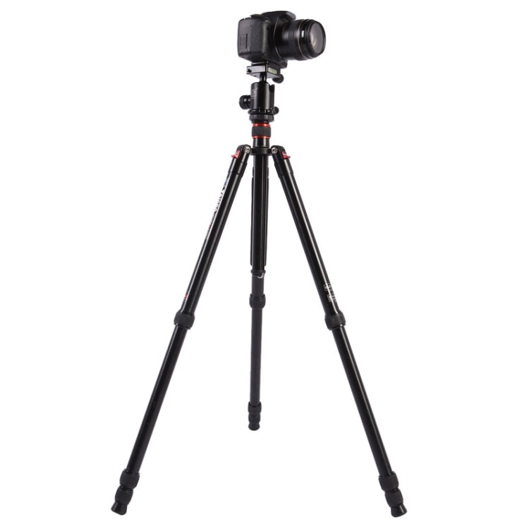 Triopo MT-2804C Adjustable Portable Aluminum Tripod with NB-2S Ball Head for Canon Nikon Sony DSLR Camera(Black) - Tripods by TRIOPO | Online Shopping UK | buy2fix