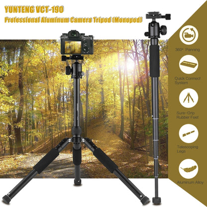 YUNTENG VCT-190 Aluminum Tripod Mount Monopod with Ball Head - Tripods by YUNTENG | Online Shopping UK | buy2fix