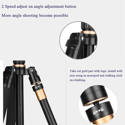 Q222 Portable 4-Section Folding Legs Aluminum Alloy Tripod Mount Monopod Holder with Ball Heads - Camera Accessories by buy2fix | Online Shopping UK | buy2fix