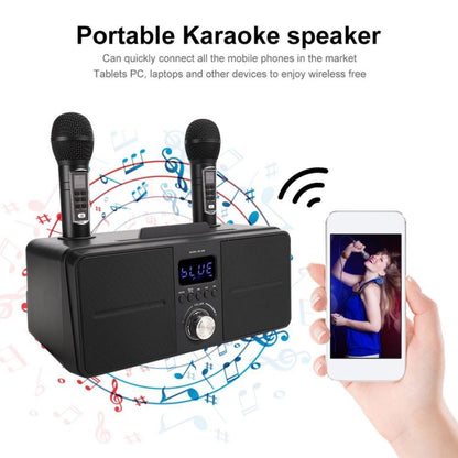 SDRD SD309 Wireless Microphone Bluetooth Audio All-In-One Machine(Black) - Consumer Electronics by buy2fix | Online Shopping UK | buy2fix